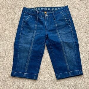 Earnest Sewn Lucille Low Rise Bermuda Denim Shorts